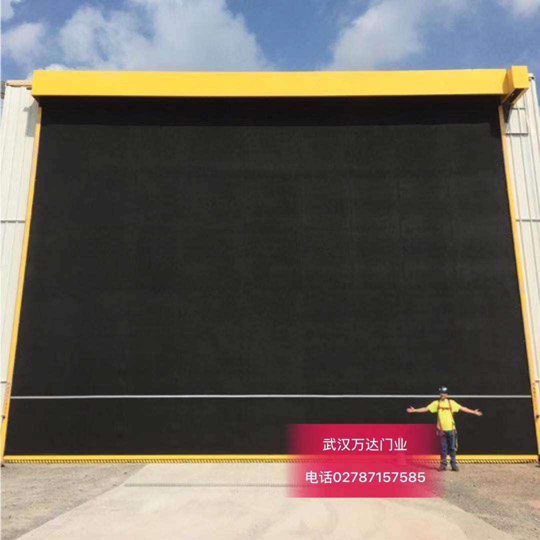 志丹快速门特制型_COPY